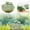 A, variant on Bird Bath For Outside On Ground Ceramic Birds Bath Bowl Handmade Ground Bird Feeders And Birdbath For Outdoors For Outdoors Garden Tabletop Balcony And Easy Light Feeder Suite Feeders for Birds Feeder