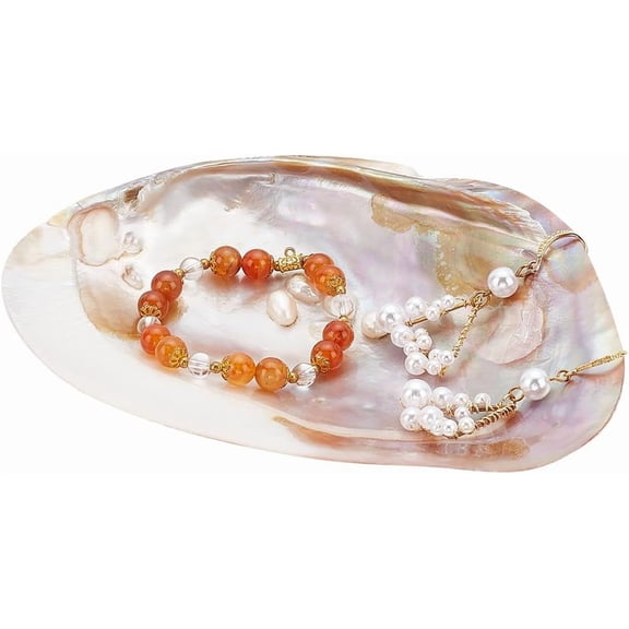 Shell Jewelry Tray Natural Seashell Ring Holder Pendant Tray Jewelry Dish Keys Bowl Trinket Necklace Bracelet Candy Tray