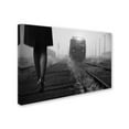thumbnail image 2 of Trademark Fine Art 'November Passengers' Canvas Art by Nicoleta Gabor, 2 of 3