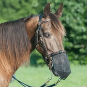 Cashel Quiet Ride Horse Nose Net Mask, protects from biting insects Fly Mask (Black, L)