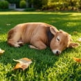 thumbnail image 5 of Homellea Realistic Sleeping Animal Plush Pillow, 15.74 Inch Brown Cow Stuffed Animal Cushion with Lifelike Photo Print for Bed, Sofa, Reading Nook, Farmhouse Decor and Cow Lover Gift, 5 of 5