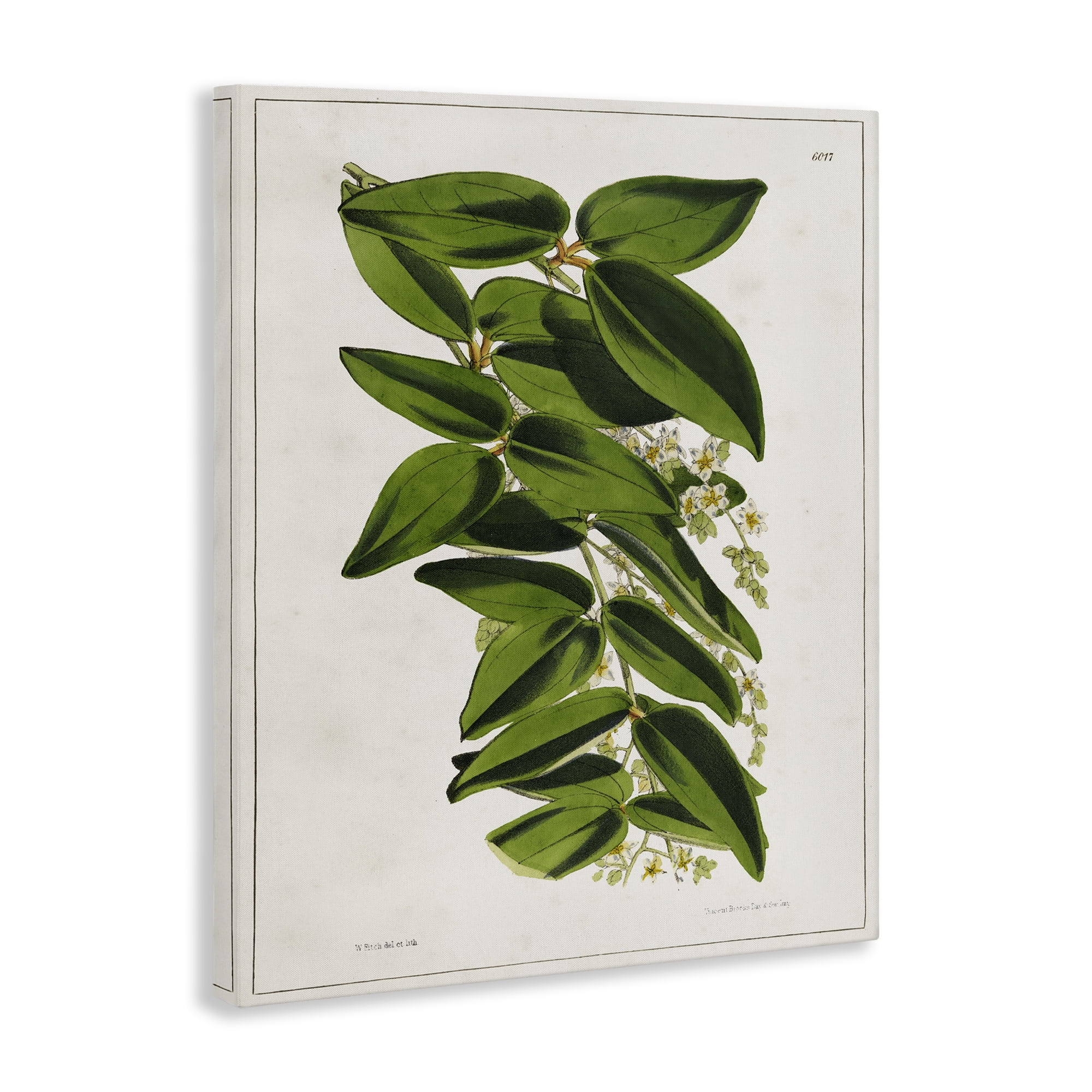 Stupell Industries Stacked Leaves Botanical Plants & Flowers Painting Wrapped Canvas Art Print Wall Art, 30 x 40