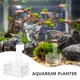 thumbnail image 5 of KAKOWELY Recipiente para plantas acuáticas de acrílico transparente para acuario., 5 of 5
