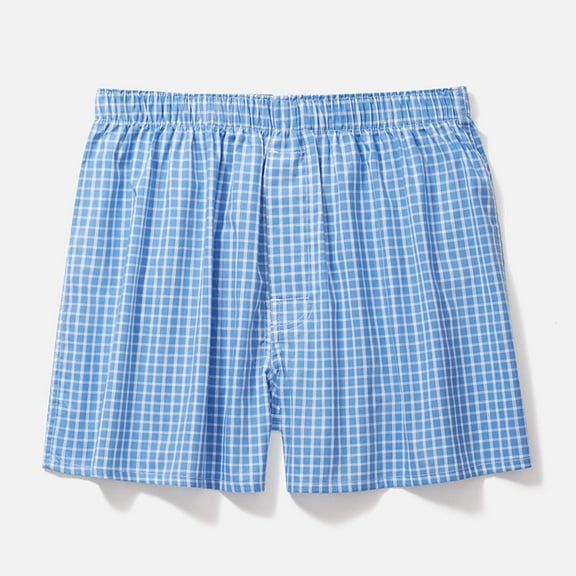 PEASKJP Men Underwear Big and Tall Men's Underwear Boxer Briefs Soft Breathable Bamboo Underwear (Blue,L)