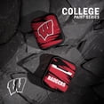 thumbnail image 2 of Wisconsin Badgers Paint Stripe HDX Case Cover Compatible with Apple AirPods Gen 3 by Affinity Bands, 2 of 4