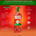 thumbnail image 4 of Vodka Absolut Tabasco 750 ml, 4 of 4