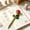 Red, variant on Realistic Rose Flower Ballpoint Pen 10 Inch, Simulation Bouquet Gift Pen with Blue Ink for Students Stationery Desk Decor