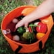 thumbnail image 2 of 30L Contenedor de agua plegable para lavabo para , , cultivar shamjiam Cubo de agua plegable de cuenca, 2 of 7