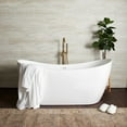 thumbnail image 2 of Philo 67 Inch Acrylic Double Slipper Freestanding Tub, 2 of 2