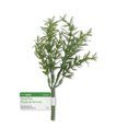 thumbnail image 1 of ROSEMARY PICK 7INCH, 1 of 2