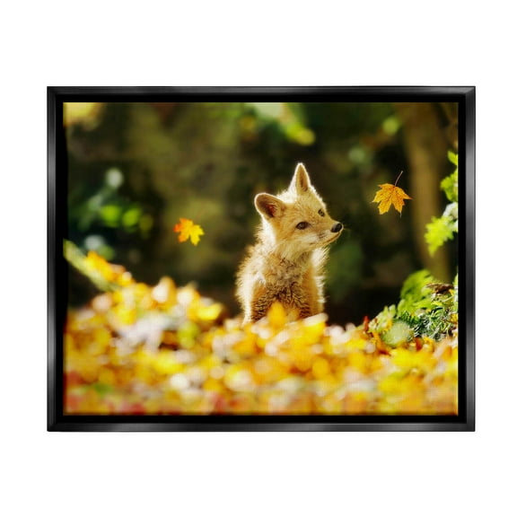 Stupell Industries Fox Watching Autumn Leaves Photograph Jet Black Floating Framed Canvas Print Wall Art, Design by Carrie Ann Grippo-Pike