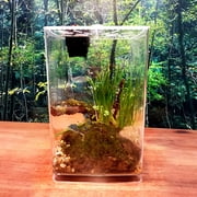 Acrylic Reptile Terrarium Box Gecko Lizard Spider Vivarium Pet Cage Tank Durable