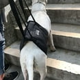 thumbnail image 2 of Pet Safety Care  Assistive Belt For Elderly Disabled And Injured Dogs  For Hind Legs  Buttocks Support Harness, 2 of 6