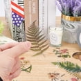thumbnail image 4 of 240PCS Nature Stickers Tropical Plants Style Note Stickers Easy Self-Adhesive Sticker Set Transparent Decorative Sticker for DIY Craft Card Album Calendars Decoration, 4 of 7