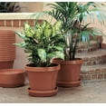 thumbnail image 4 of Bloem Terra Plant Saucer Tray for Planters 3-6" Terra Cotta, 4 of 4