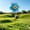 Blue-BU, variant on MMJ Garden Stake Iron Flower Wind Spinner Large Whirligig Outdoor Yard Art Ground Insert 44.09x13.39in