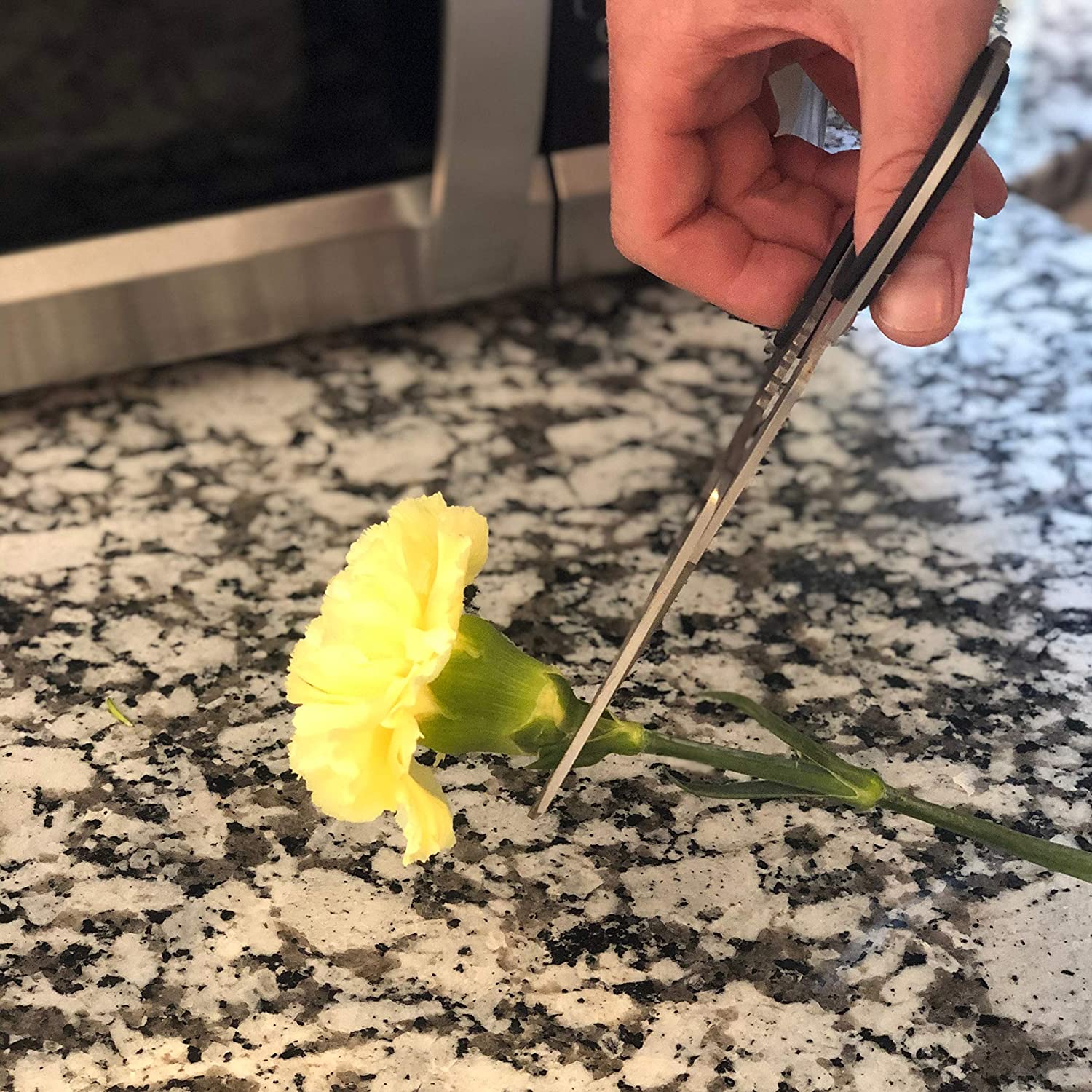 Floral Preservation Kit - DIY Flower Preserving Kit for Scrapbooking, Photo  Albums & More, Developed with David Tutera The Celebrity Wedding Planner 