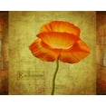 thumbnail image 2 of Geyman, Vitaly 18x15 Gold Ornate Wood Framed with Double Matting Museum Art Print Titled - Dancing Poppy Radiance, 2 of 4