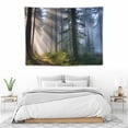 thumbnail image 3 of COMIO  Misty Forest Tapestry Wall Hanging Nature Landscape Tapestry Sunshine Through Tree Tapestries for Bedroom Living Room Dorm Decor(40×30inch), 3 of 7