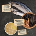 thumbnail image 2 of Wholesome Grains Sea To Stream, Fish & Grains Recipe Dry Dog Food 22.5 lbs., 2 of 2