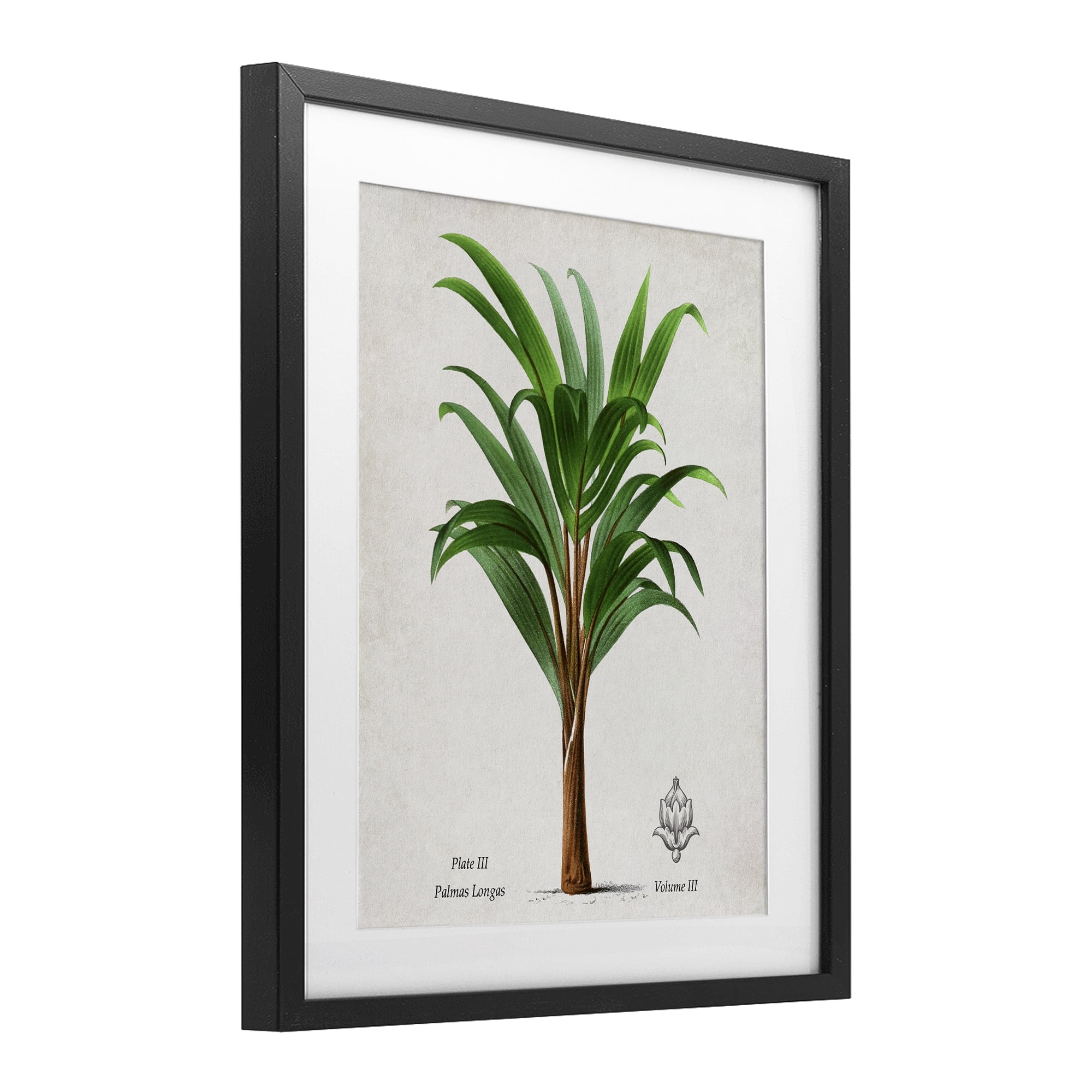 Stupell Industries Palmas Longas Palm Tree Black Framed Print Under Glass, design by Val Rhodes