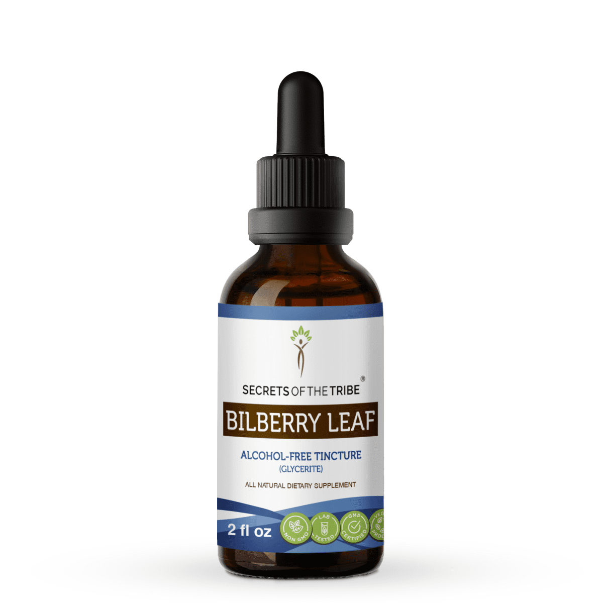 Bilberry Fruit Tincture AlcoholFREE Extract, Organic Bilberry