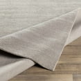 thumbnail image 3 of BoutiqueRugs Donegal Solid & Striped Area Rug - Light Gray - 2' x 3', 3 of 9