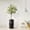 Eucalyptus Tree, variant on PixonSign 4ft Artificial Trees Bird of Paradise with Snowflakes & Reindeers Illustration Vase Modern Indoor Silk Floor Fake Plant Christmas Decoration for Home or Office