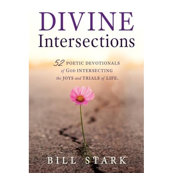 Pre-Owned Divine Intersections: 52 Poetic Devotionals of God Intersecting the Joys and Trials of Life. (Paperback) 1662895569 9781662895562