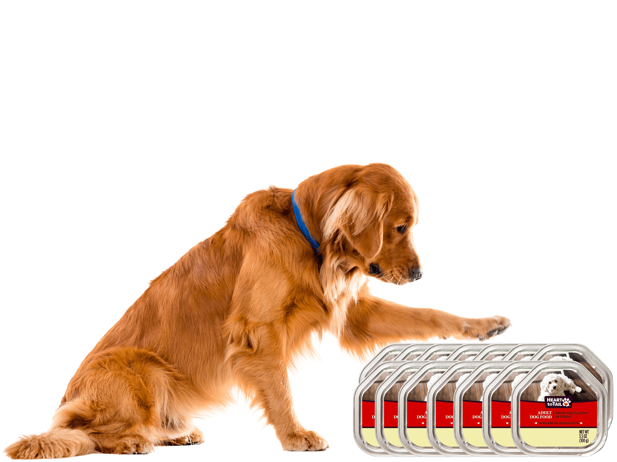 Heart to Tail Prime Rib Flavor Adult Dog Food in Gravy, oz