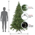 thumbnail image 3 of Northlight Clear Prelit Candlelight LED Green Hinged Fir Birch River Fir Artificial Christmas Tree, 7.5', 3 of 8