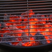 B&B Charcoal 20 Pound Oak Lump Charcoal