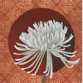 thumbnail image 2 of Lovell, Kathrine 15x15 White Modern Wood Framed Museum Art Print Titled - Morning Chrysanthemum III, 2 of 4