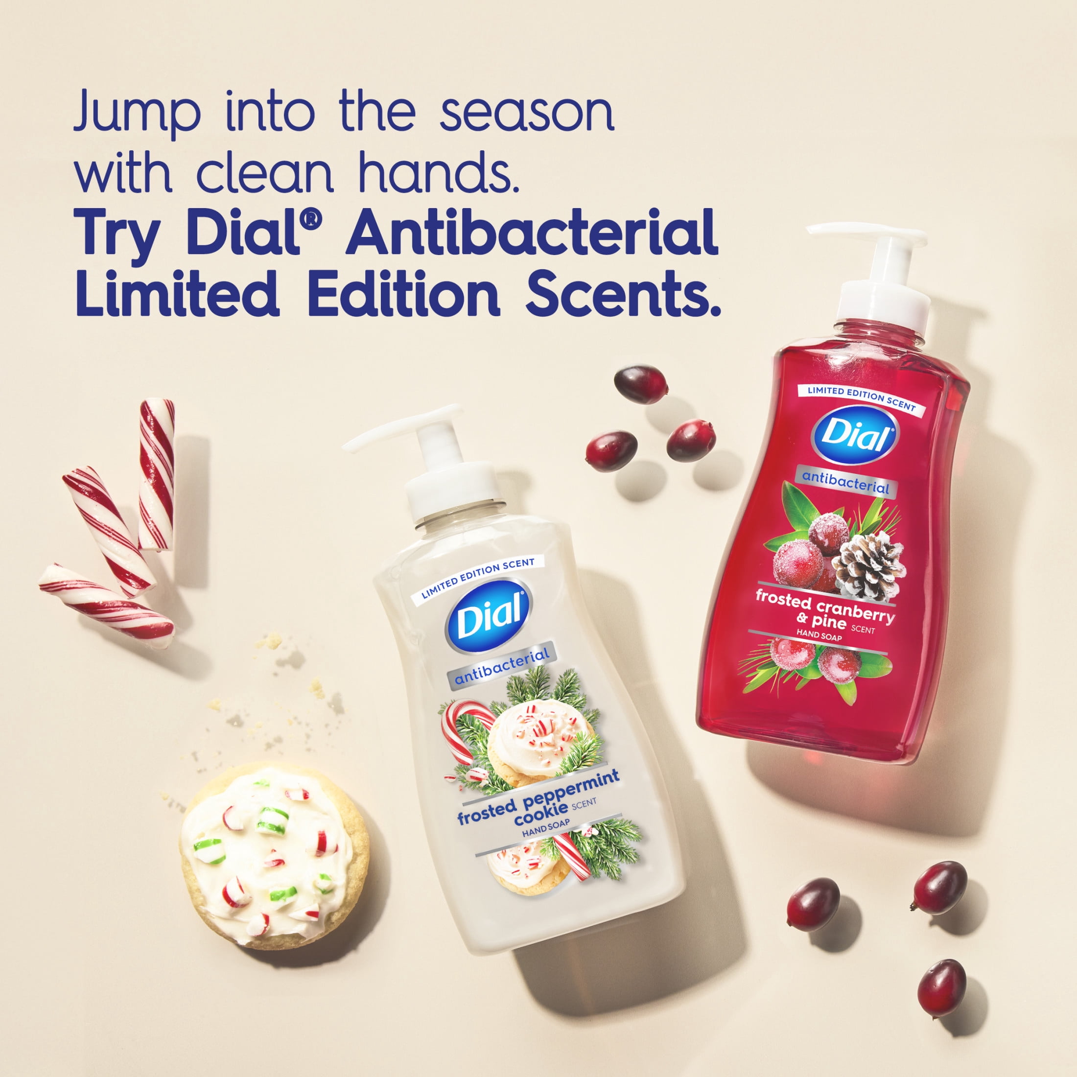 Dial Antibacterial Limited Edition Scent, Frosted Peppermint Cookie Liquid Hand Soap