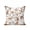 Brown, variant on 1 Pack Outdoor Throw Pillow, Deer Bear Hedgehog Waterproof Pillow with Insert Included, Farmhouse Animals Forest Brown Border Decorative Accent Cushion Lumbar Pillows for Patio Porch, 12 x 20 In