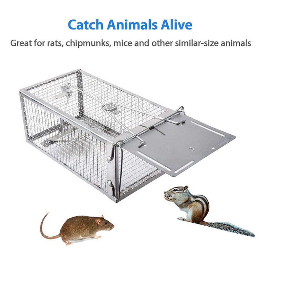 Catching 50 Mice, 2 Rats and A Chipmunk With An Incredible Italian Rodent  Trap. Mousetrap Monday 