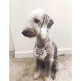 thumbnail image 4 of Dog Wedding Sign Creative Letter Print Hanging Board Wedding Decoration Sign, 4 of 10