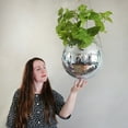 thumbnail image 1 of Disco Ball Plant Hanger Mirror Hemisphere Planter Hanging Basket Hanging Pot Ball Planter Office Ornament, 1 of 2