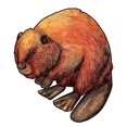 thumbnail image 1 of Rompecabezas de madera único Castor manualidades DIY rompecabezas con forma de Animal para adultos ni?os rompecabezas educativo ZefeiWu 8390606876492, 1 of 1