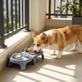 thumbnail image 5 of Byujiro Elevated Tilted Double Pet Bowls Neck-Friendly Cat & Dog Feeding/Watering Set with Non-Slip Stand, Anti-Tipping Design, Easy-Clean Bowls for Small Pets, 5 of 6