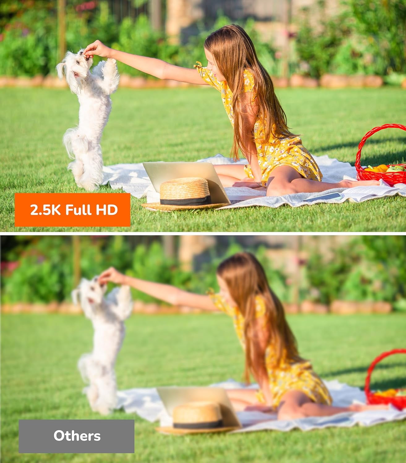 SensForge 2.5K Solar Powered Outdoor Battery Camera, Dual-Band WiFi, Free AI Human & Pet Detection, 2-Day Cloud + 32GB SD Storage, Spotlight Night Vision, Magnetic Mount, Optional AI + Storage Upgra