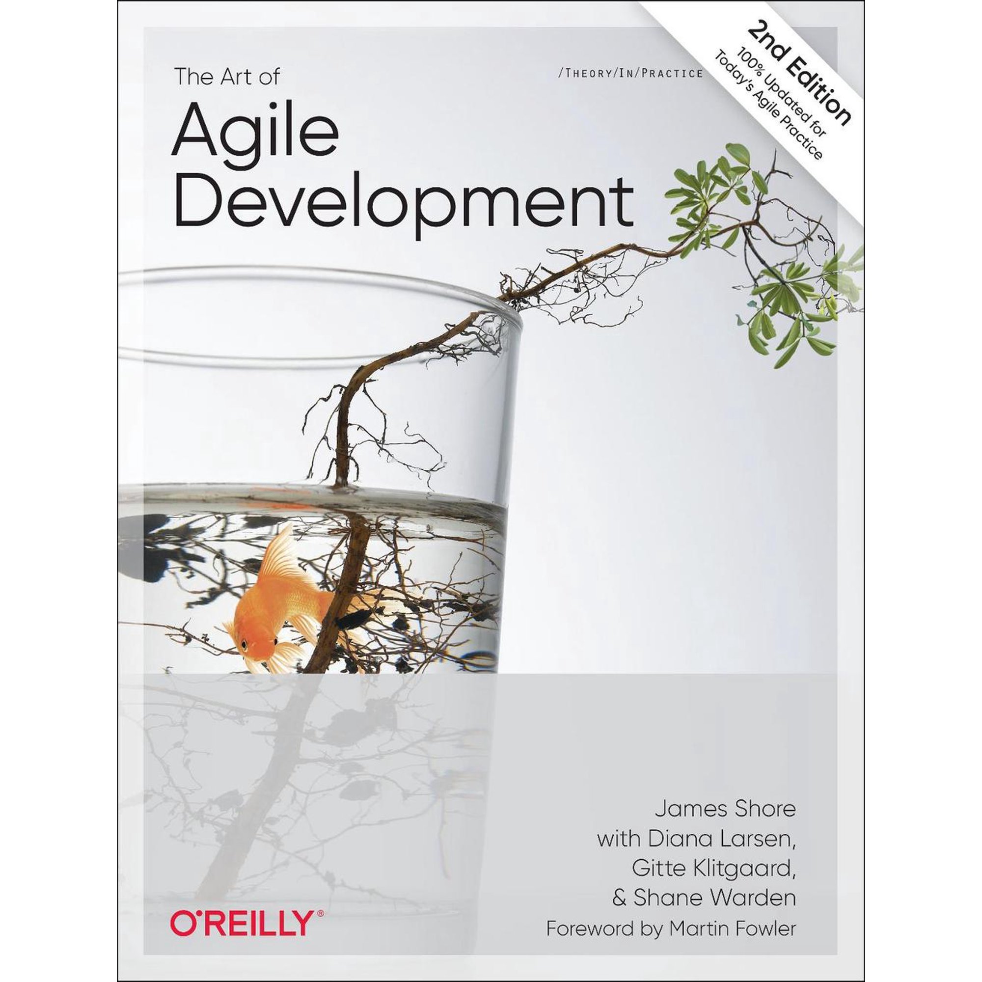 The Art of Agile Development (Paperback)