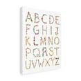 thumbnail image 4 of Farida Zaman 'Floral Alphabet' Canvas Art, 4 of 4