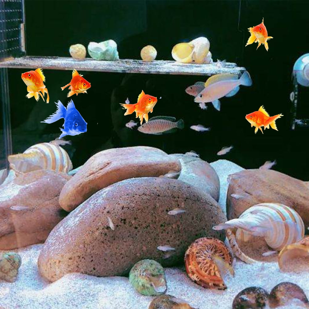 Hermit crab supplies walmart online