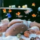 Coquilles de Crabe Ermite, 11 Pièces, Coquillages Turbo à Croissance Moyenne et Petite, Coquille de Mer pour Crabes Ermite – image 2 sur 8