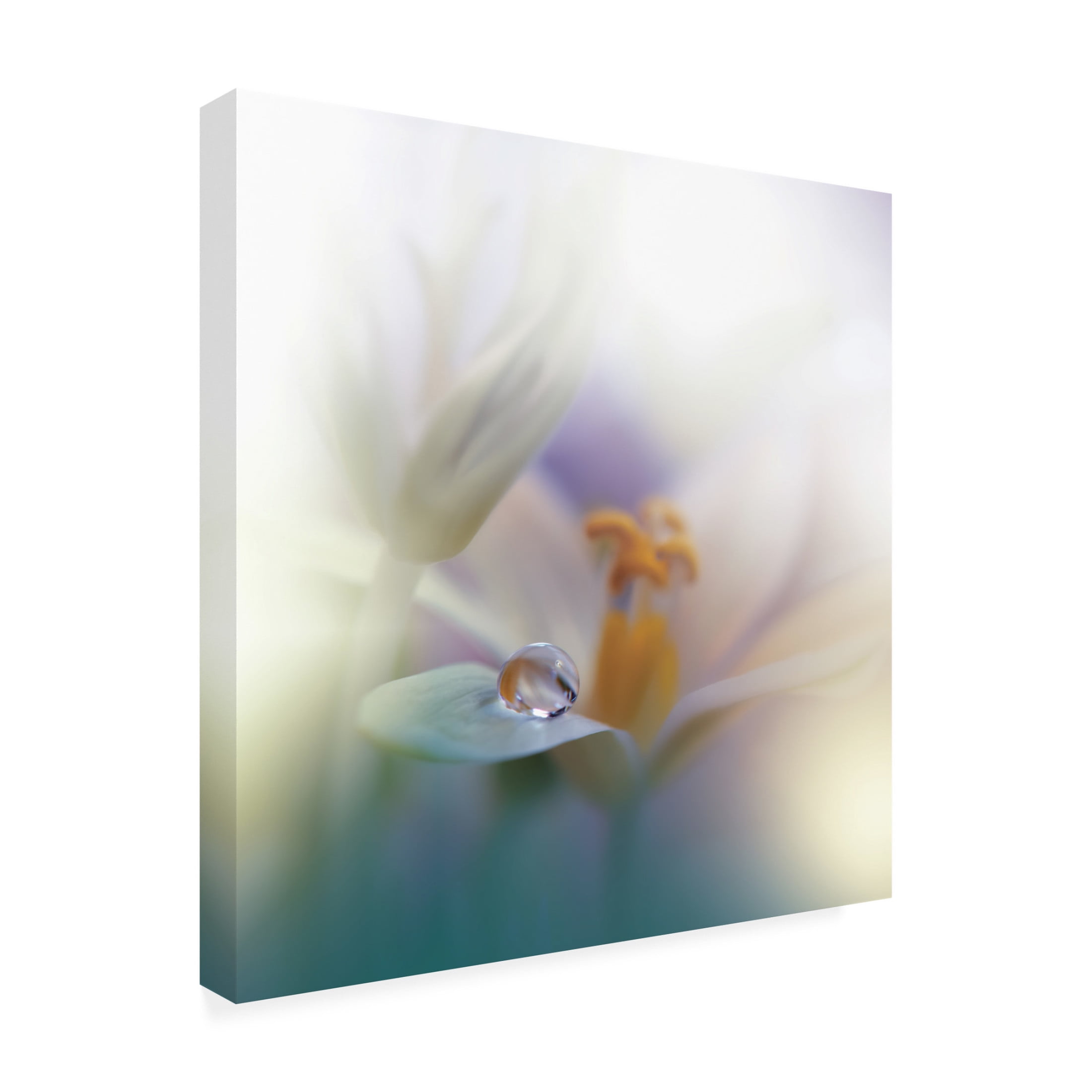 Canvas Wall Art - Juliana Nan 'All Of Me ' Wall Art for Living Room, Bedroom, or Office D?cor by Trademark Fine Art - 35 x 35 Inches