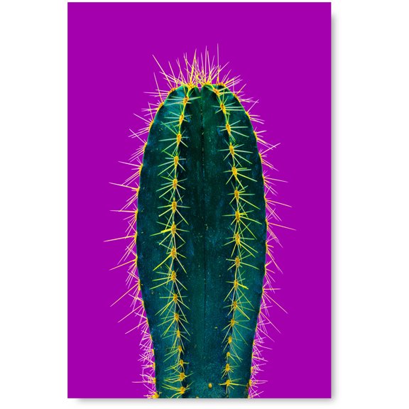 Awkward Styles Cactus Poster Wall Art Nature Home Decor Prints