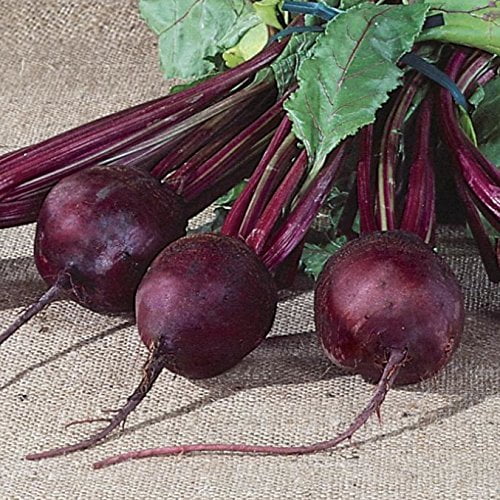 Plants, Seeds & Bulbs Burpee Detroit Dark Red Medium Top Beet Seeds