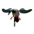 thumbnail image 5 of Mojo Outdoors, HW4401, Baby Drake Decoy, Waterfowl Decoy, 3.5 Pounds Assembled, 5 of 5
