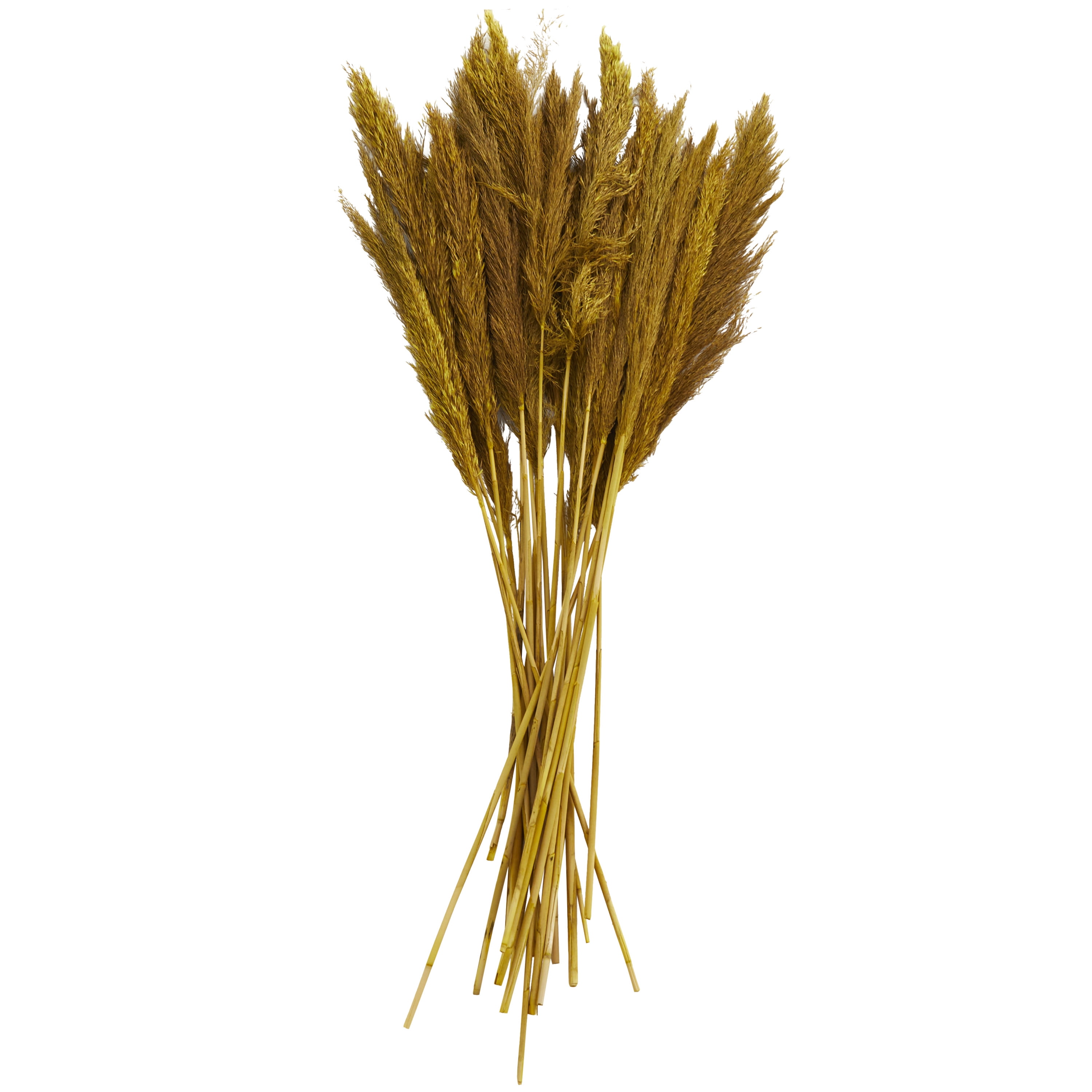 35" Dried Plant Natural Foliage Pampas Bouquet with Long Stems, by DecMode